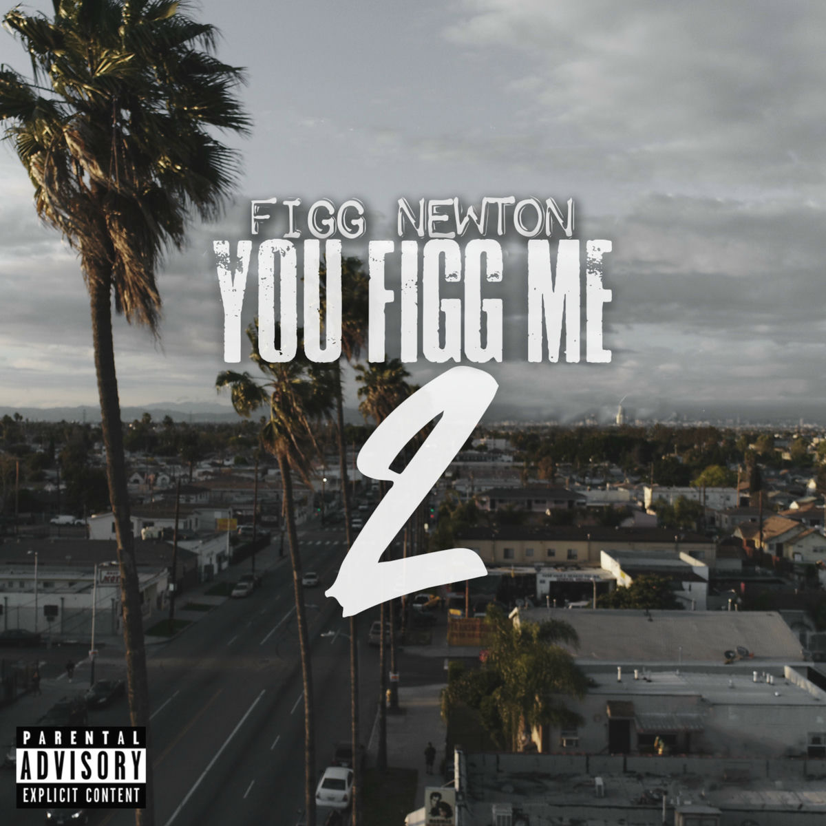 Album cover of You Figg Me 2