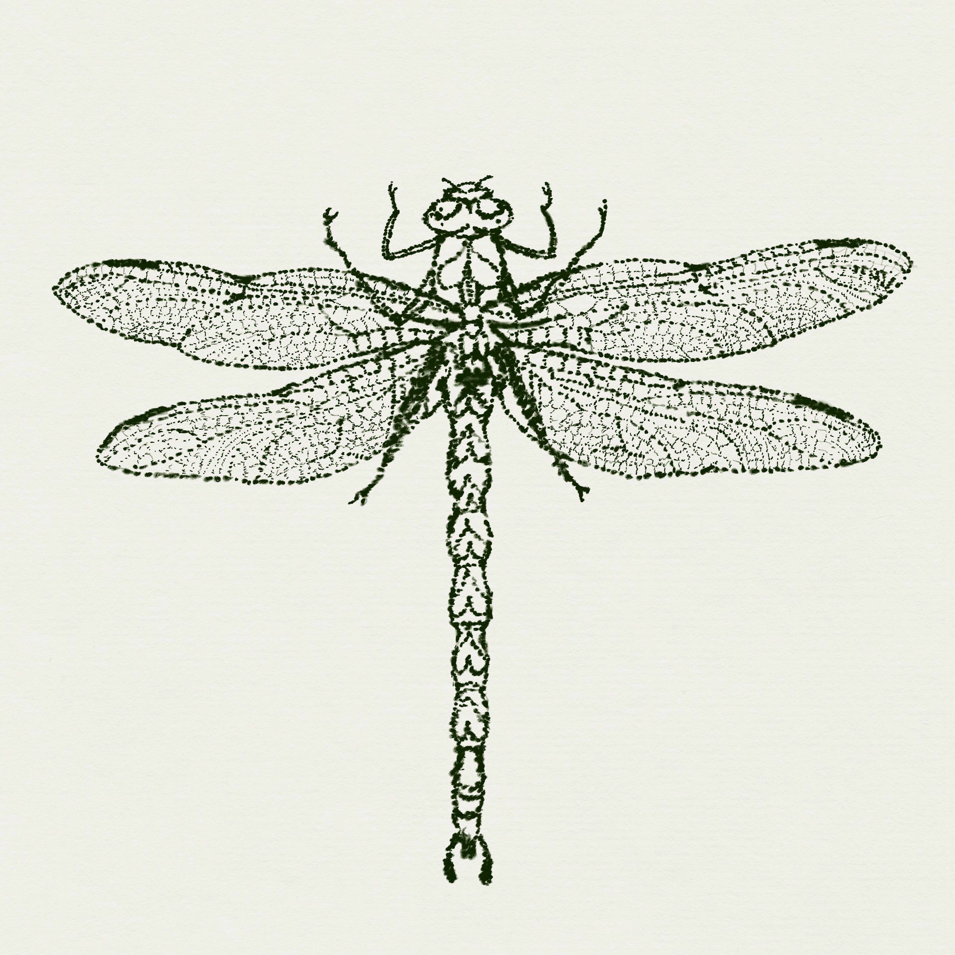 Album cover of Dragonfly
