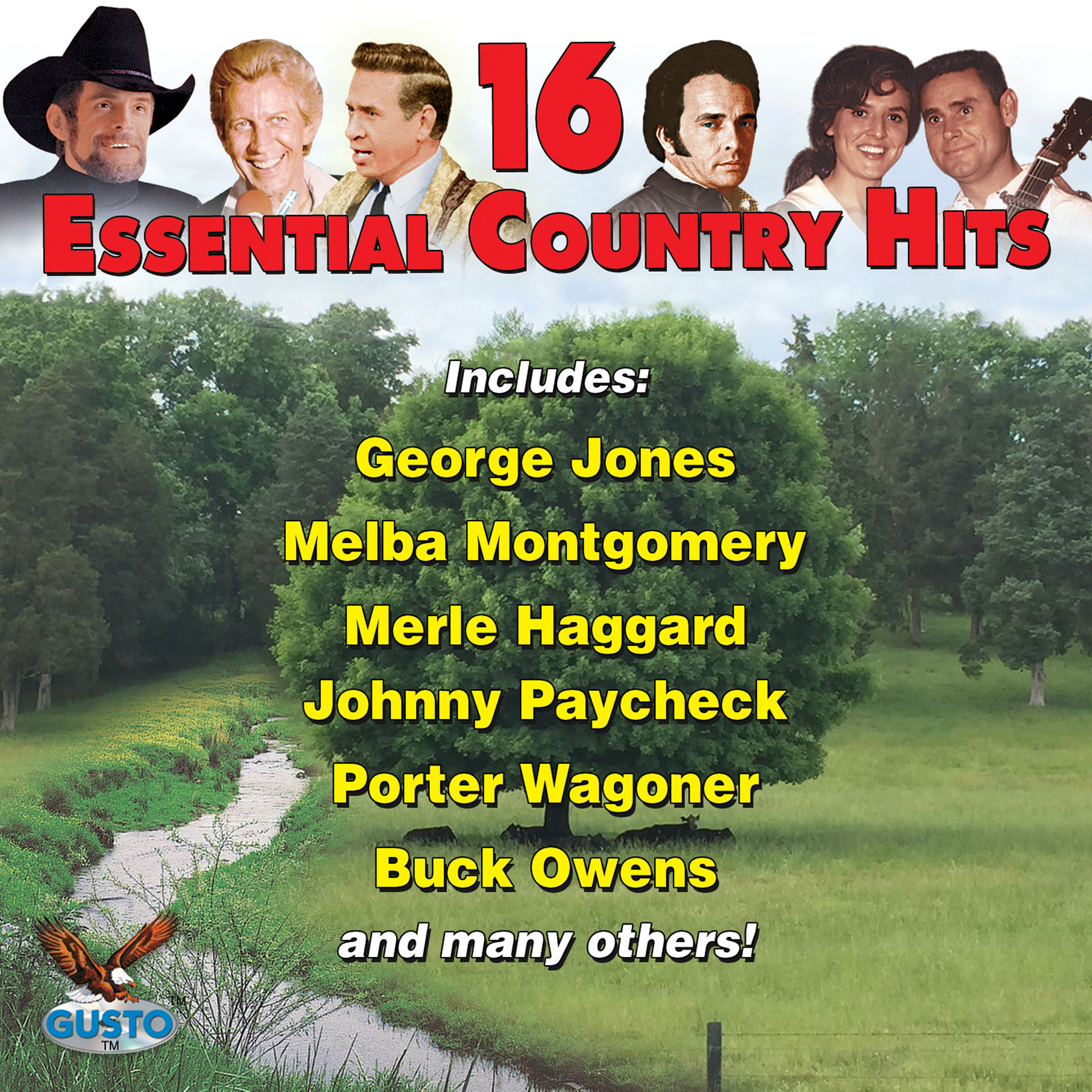Album cover of 16 Essential Country Hits