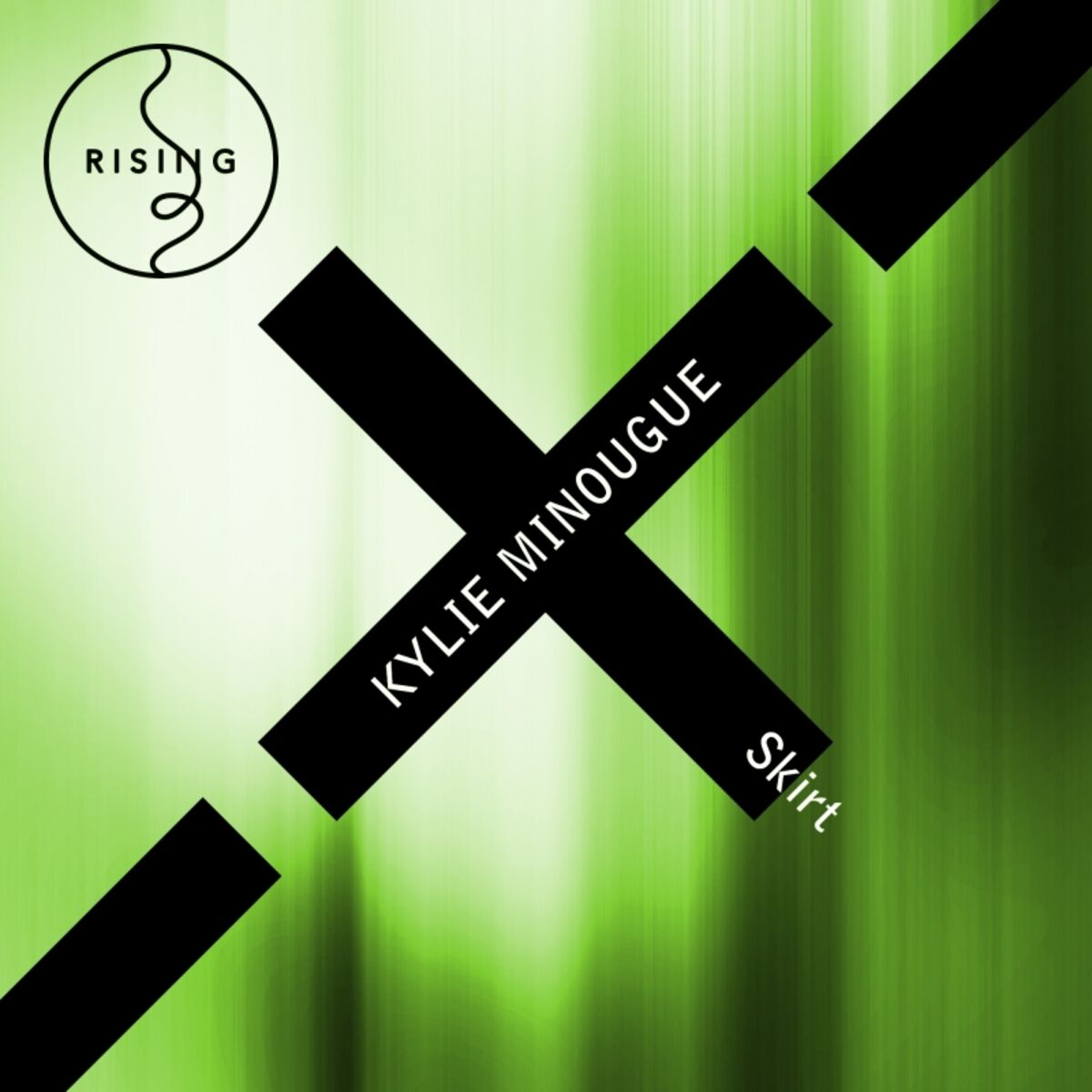 Album cover of Skirt