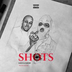 Cover of Shots