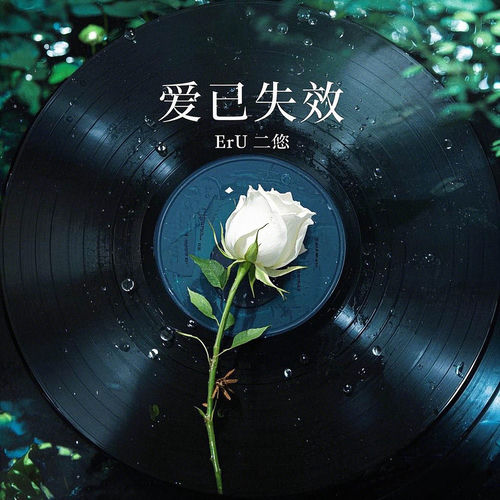 爱已失效