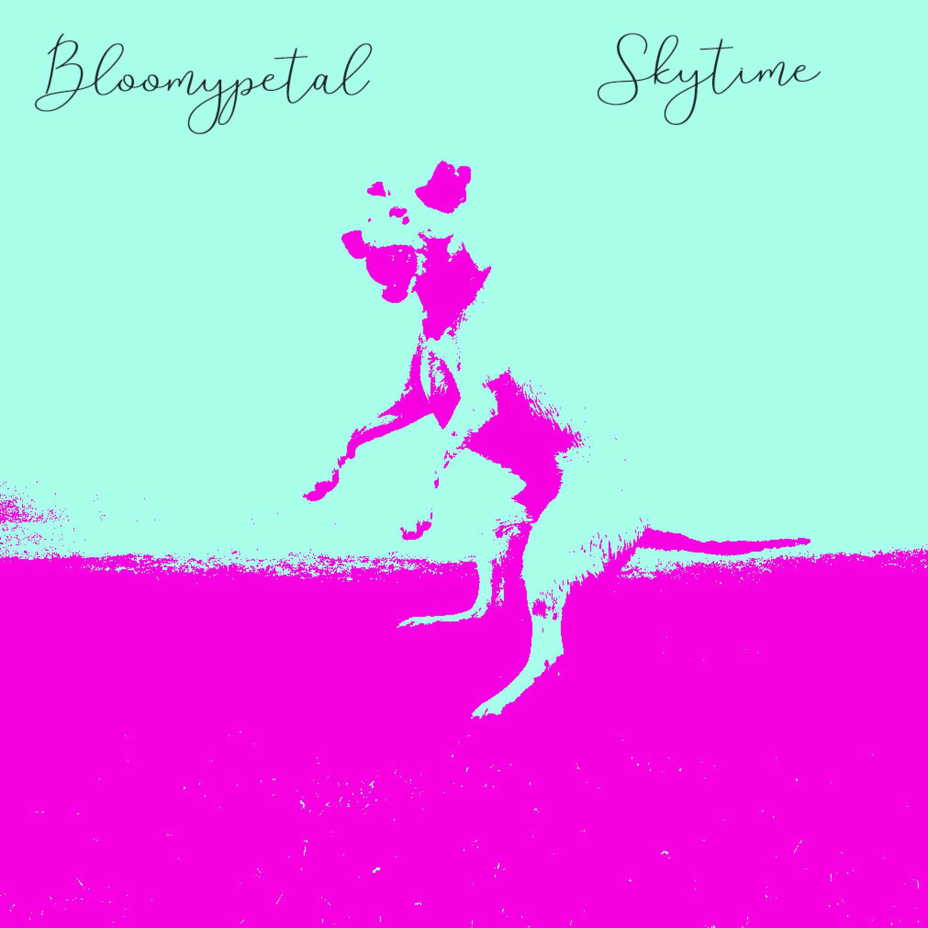 Album cover of Skytime
