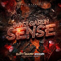 Cover of Sense