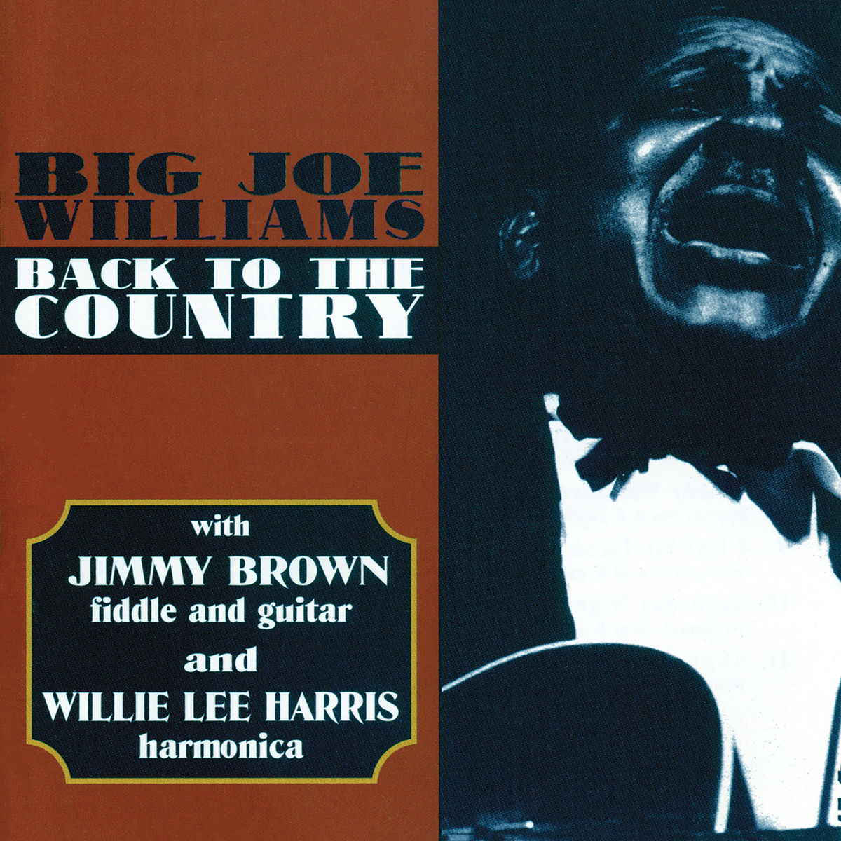 Album cover of Back To The Country