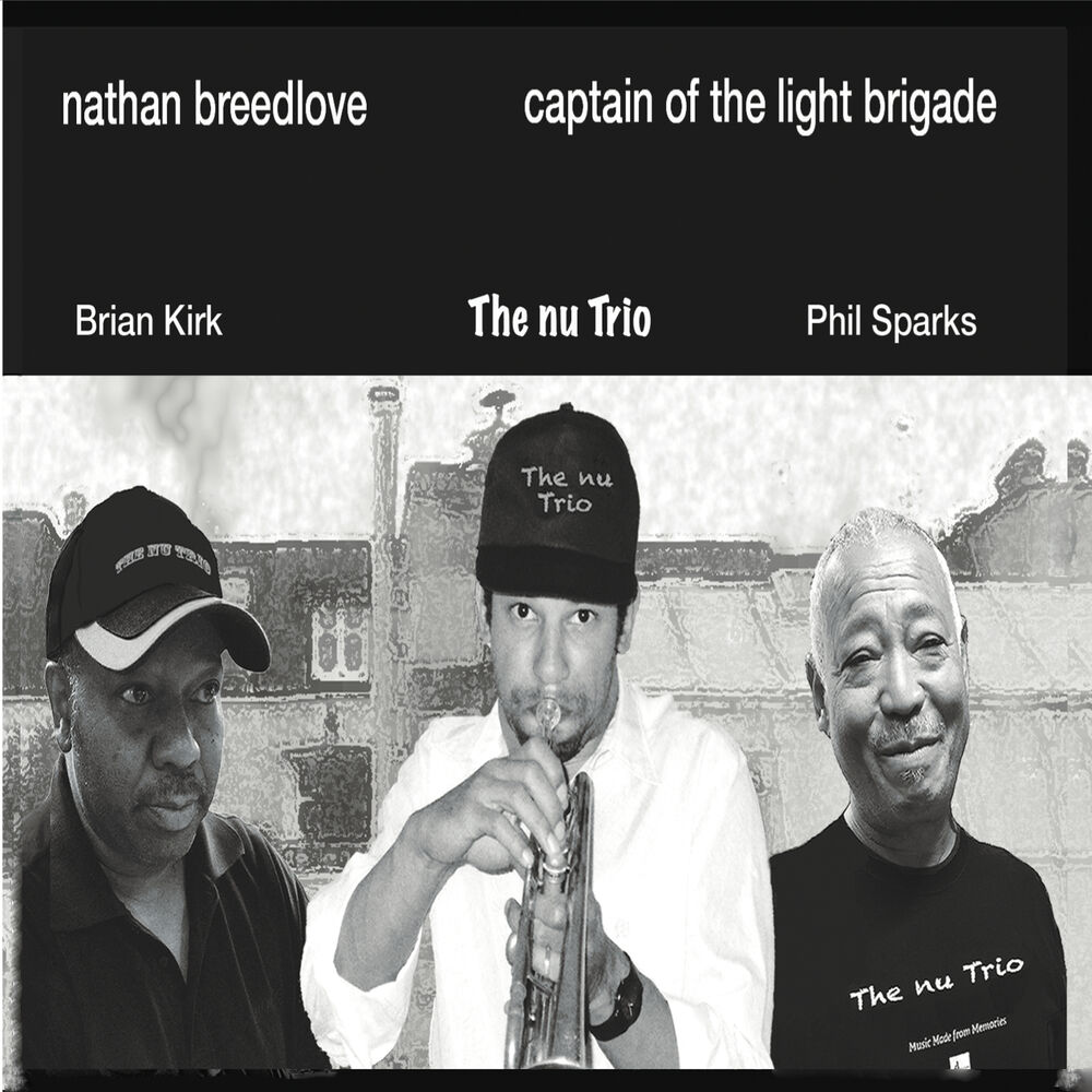 Picture of Captain of the Light Brigade