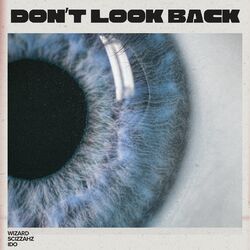 Cover of Don't Look Back