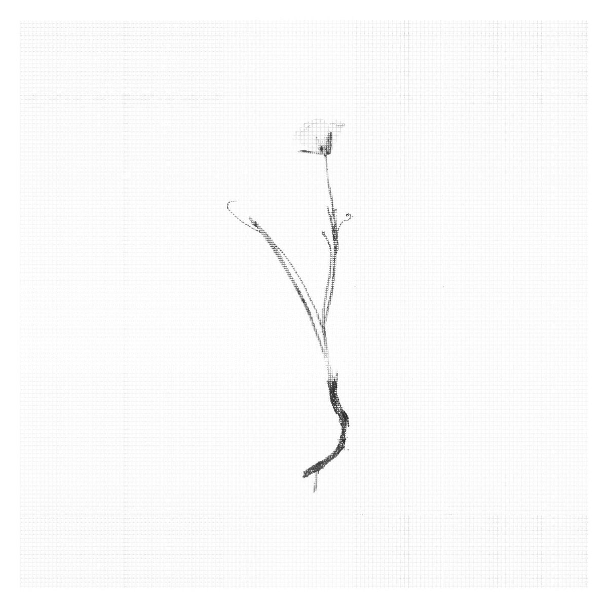 Album cover of Consolation No. 2 in A-Flat Major