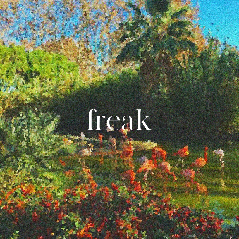 Picture of Freak