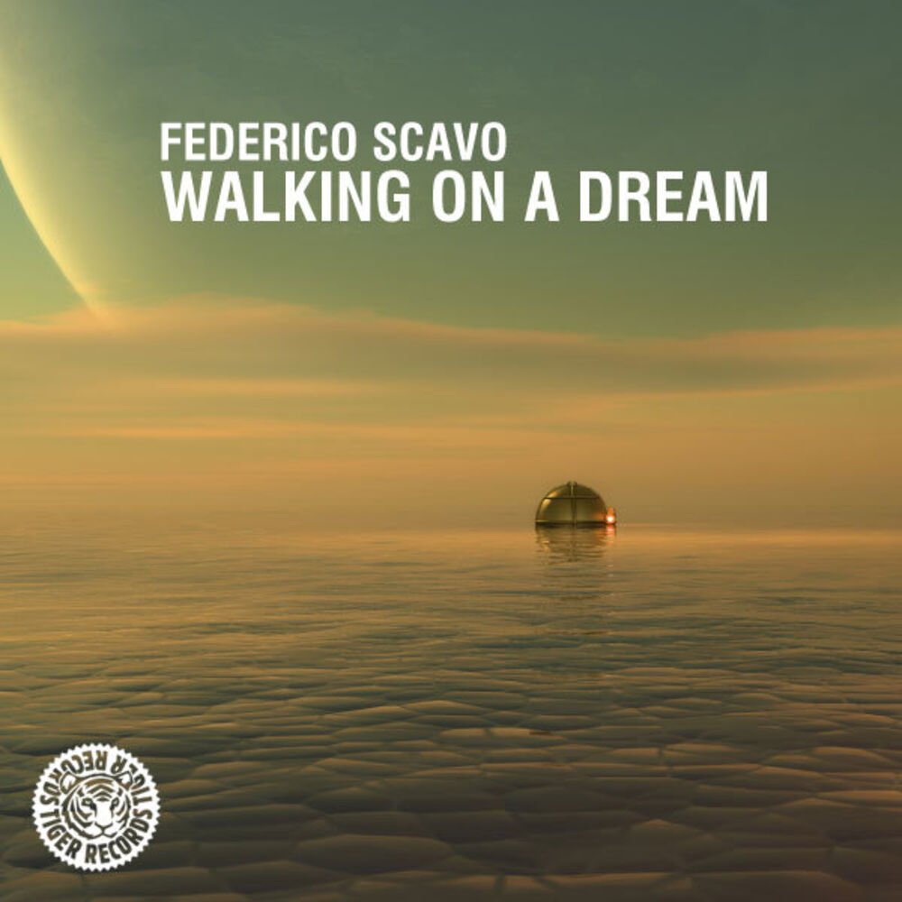 Picture of Walking On a Dream
