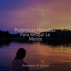 Cover of Poderosas Melodías Para Relajar La Mente