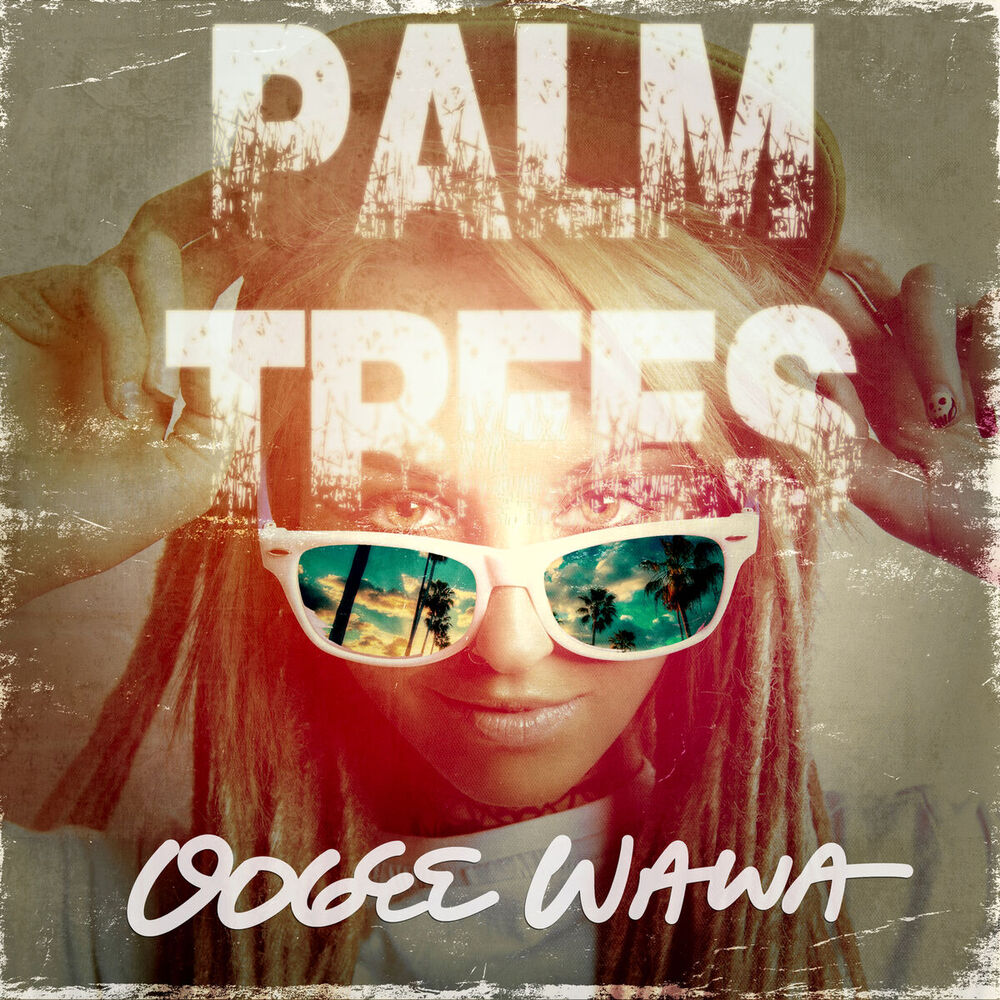 Picture of Palm Trees