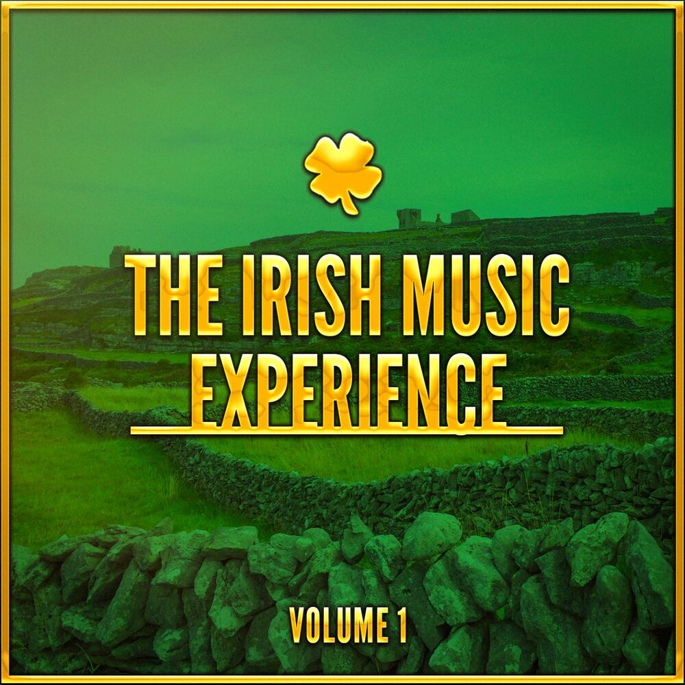 Picture of The Irish Music Experience, Vol. 1 (A Selection of Traditional Music from Ireland)