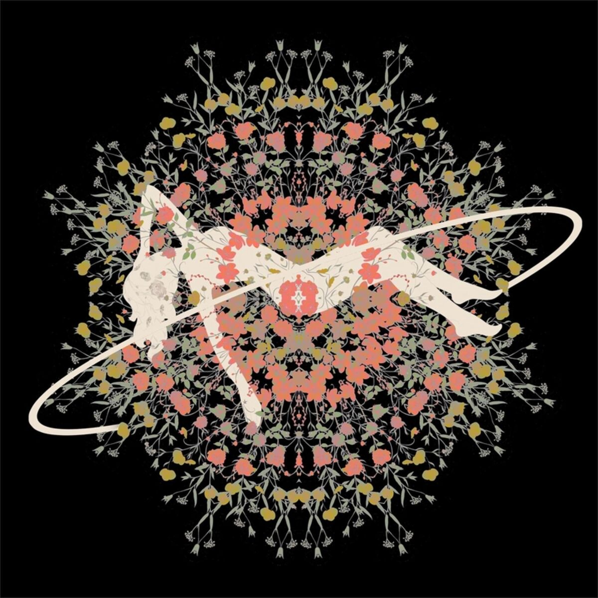 Album cover of Andiamo