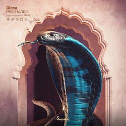 Cover of Ricca