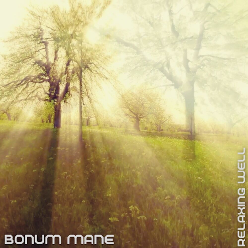 Picture of Bonum Mane