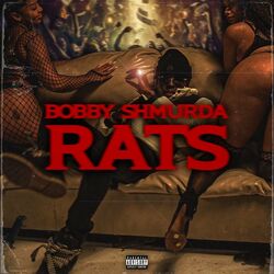 Cover of Rats