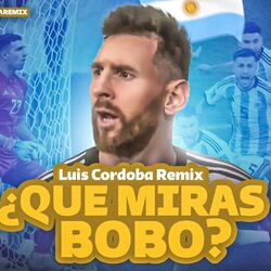 Cover of Que Miras Bobo Remix
