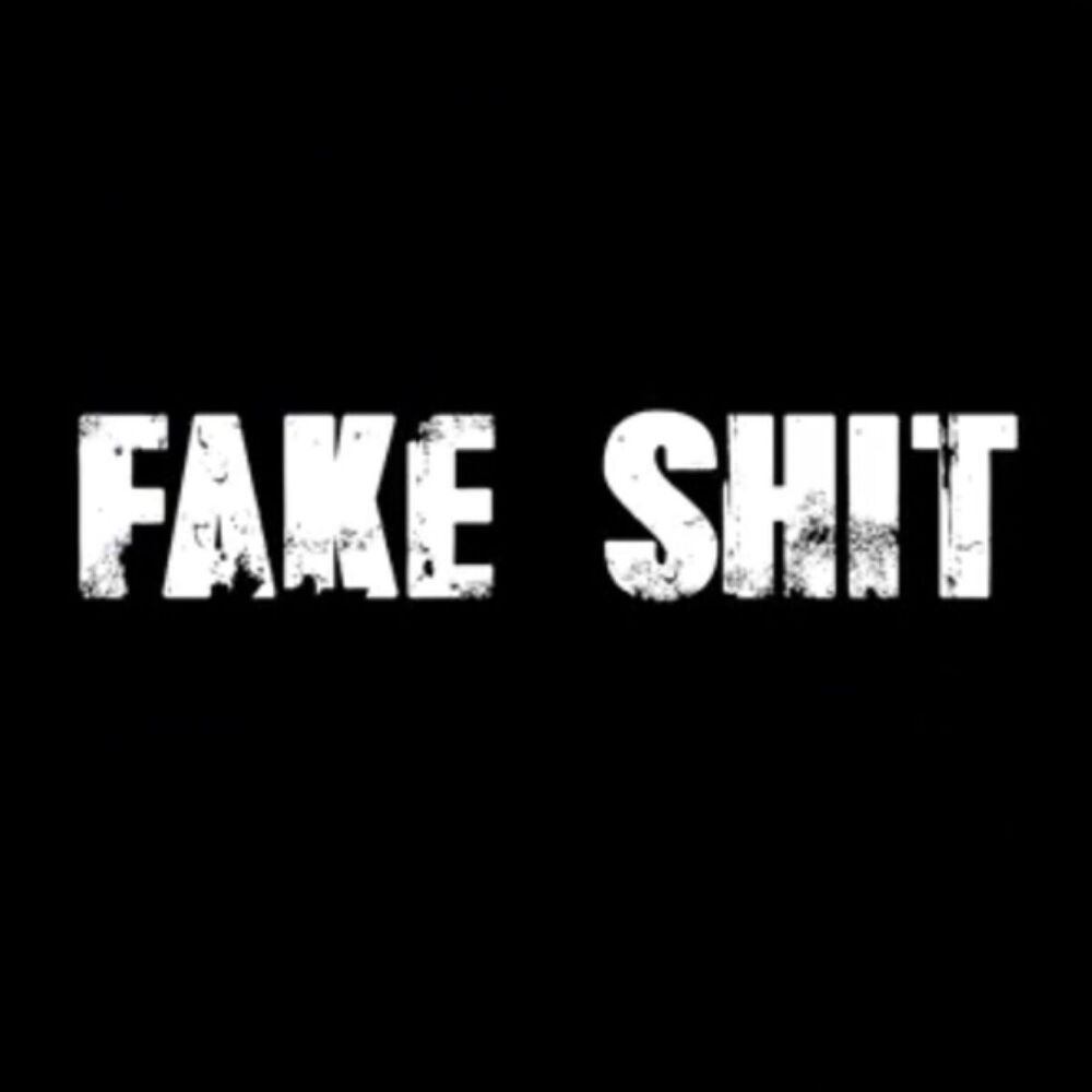 Picture of Fake Shit