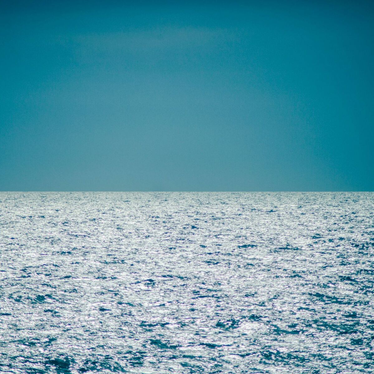 Album cover of 50 Calming Coastal Songs: Blue Waves