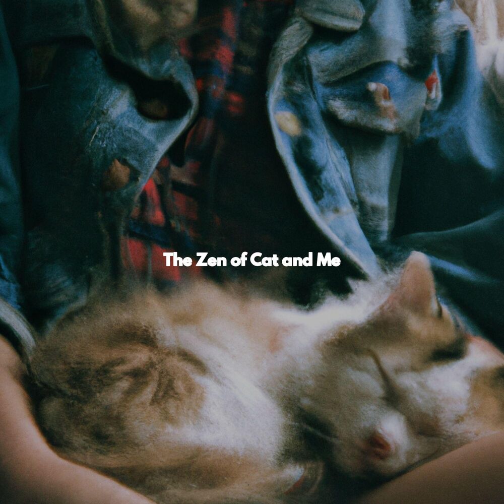 Picture of The Zen of Cat and Me