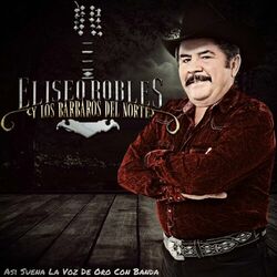 Cover of Asi Suena La Voz De Oro Con Banda