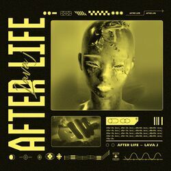 Cover of After Life