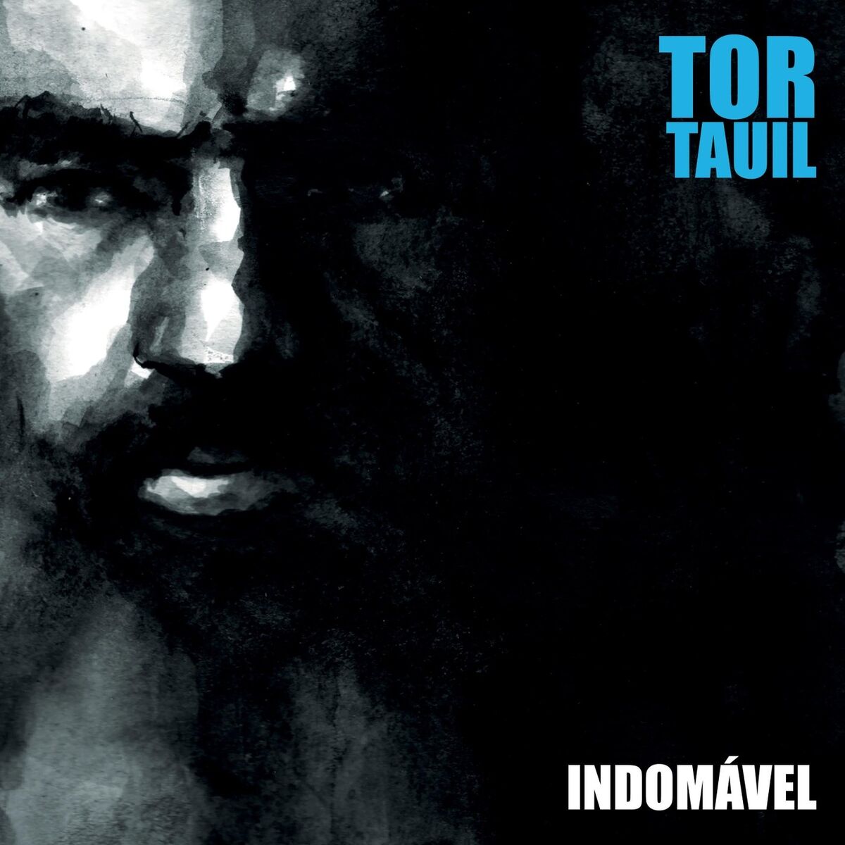 Album cover of Indomável
