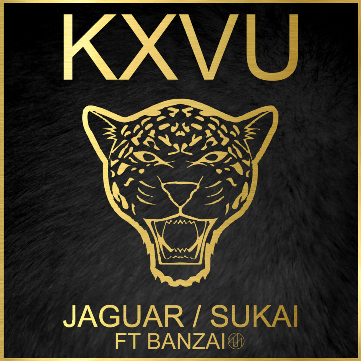 Album cover of Jaguar / Sukai