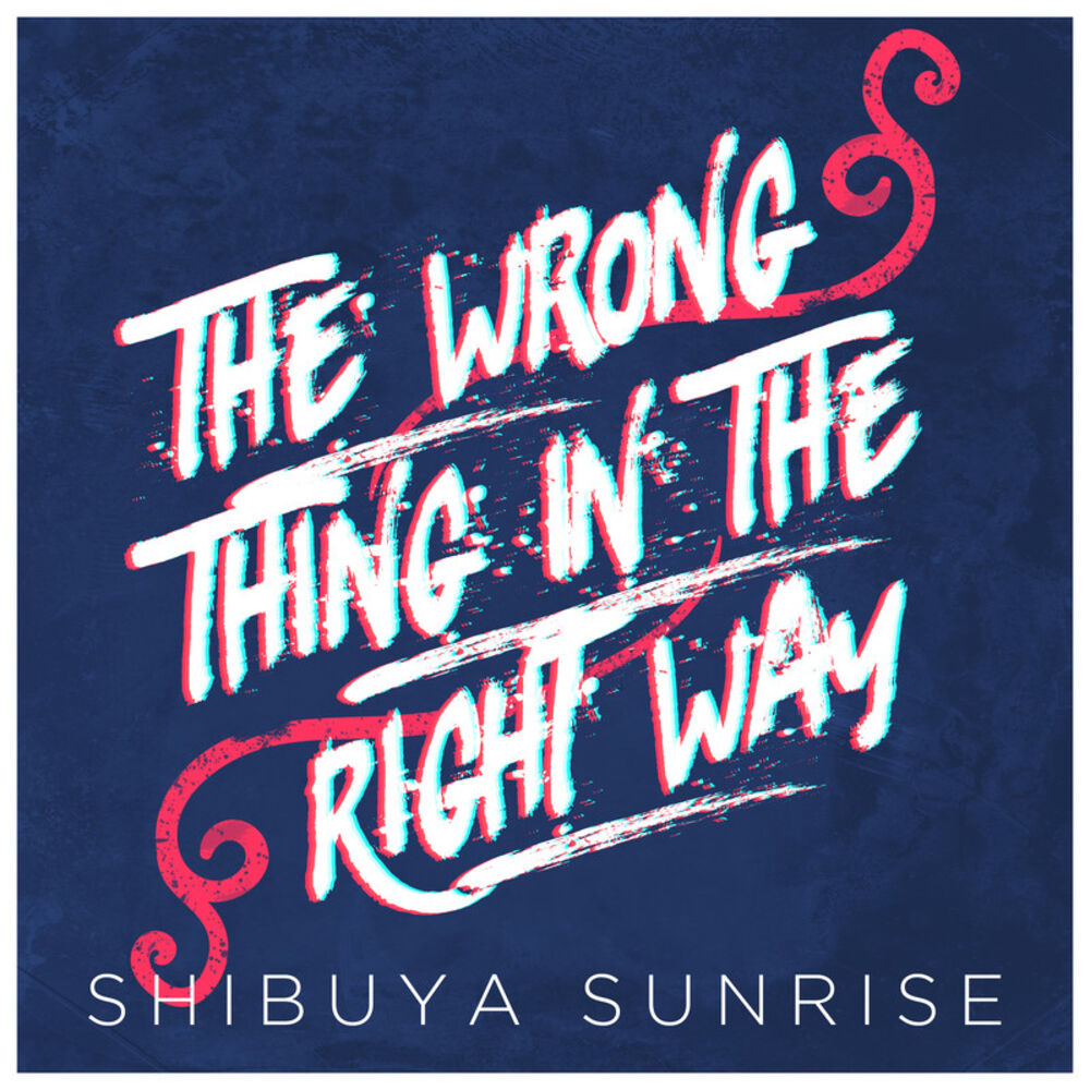 Picture of The Wrong Thing in the Right Way