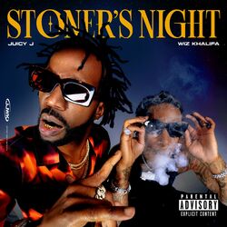 Cover of Stoner's Night