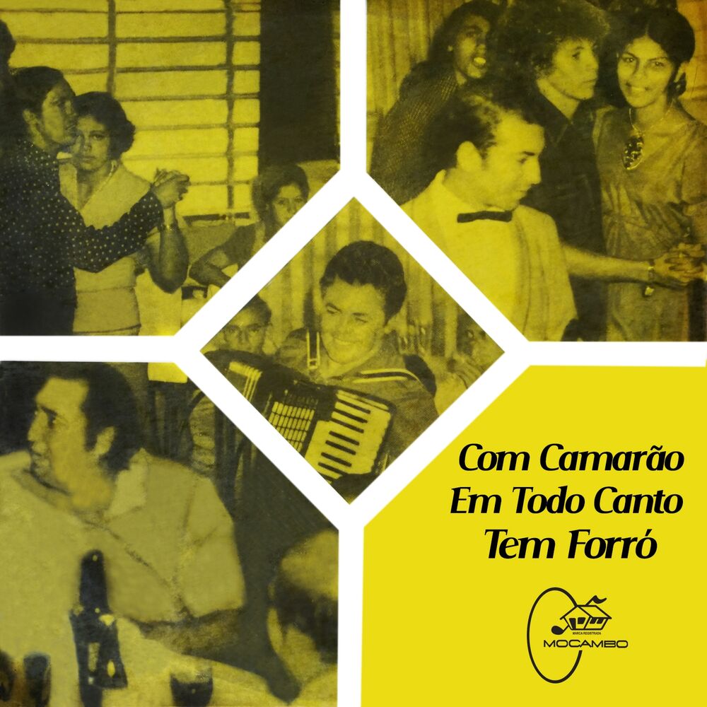 Picture of Em Todo Canto Tem Forró