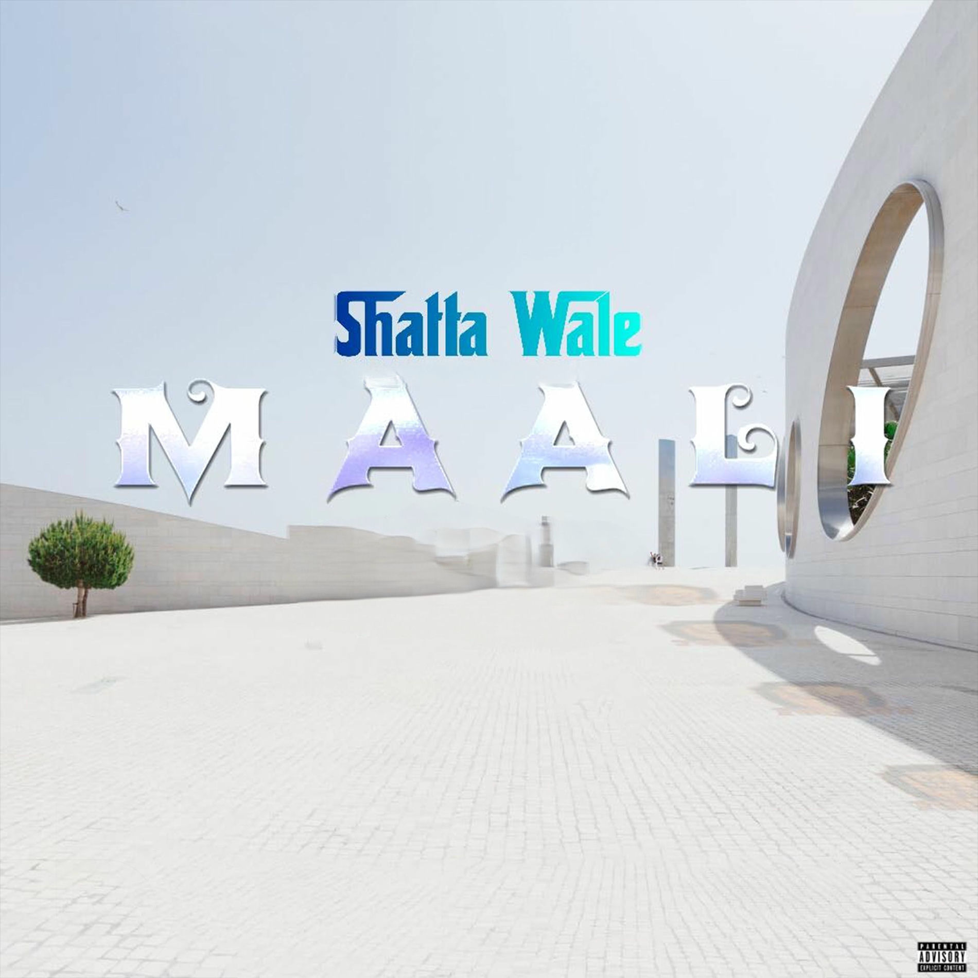 Album cover of Maali