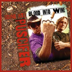 Cover of Sound Into Blood Into Wine