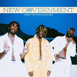 Cover of NEW GOVERNMENT