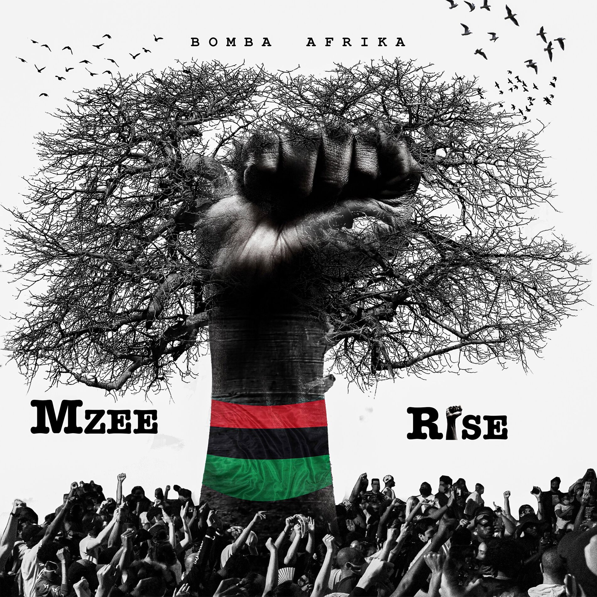 Album cover of Rise