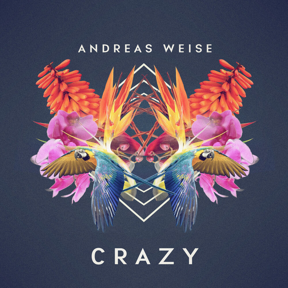 Picture of Crazy