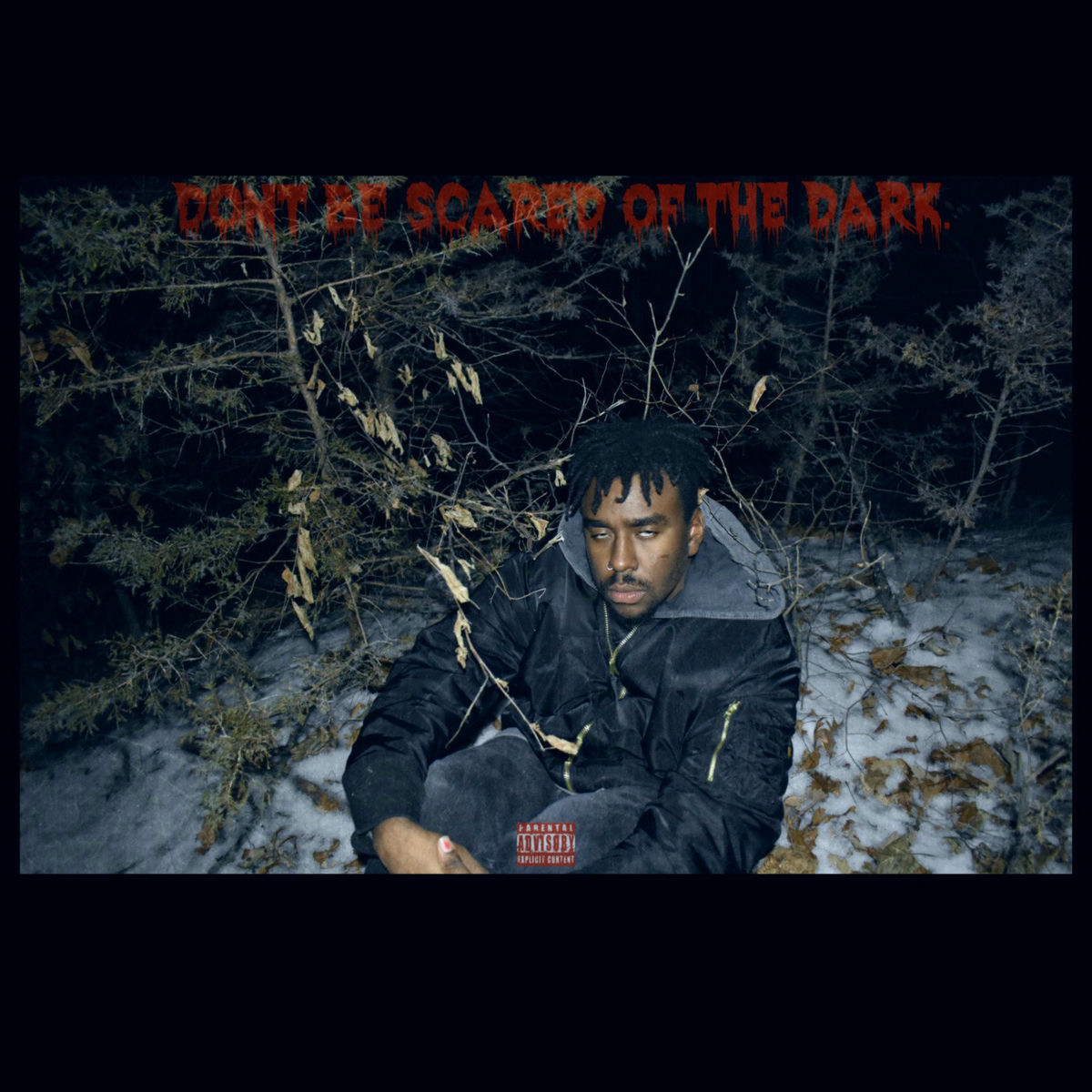 Album cover of Don't Be Scared of the Dark