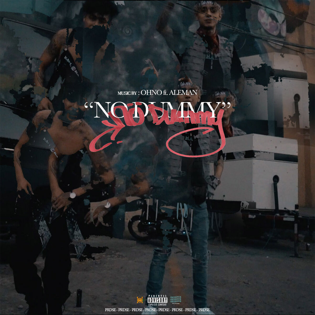 Album cover of No Dummy