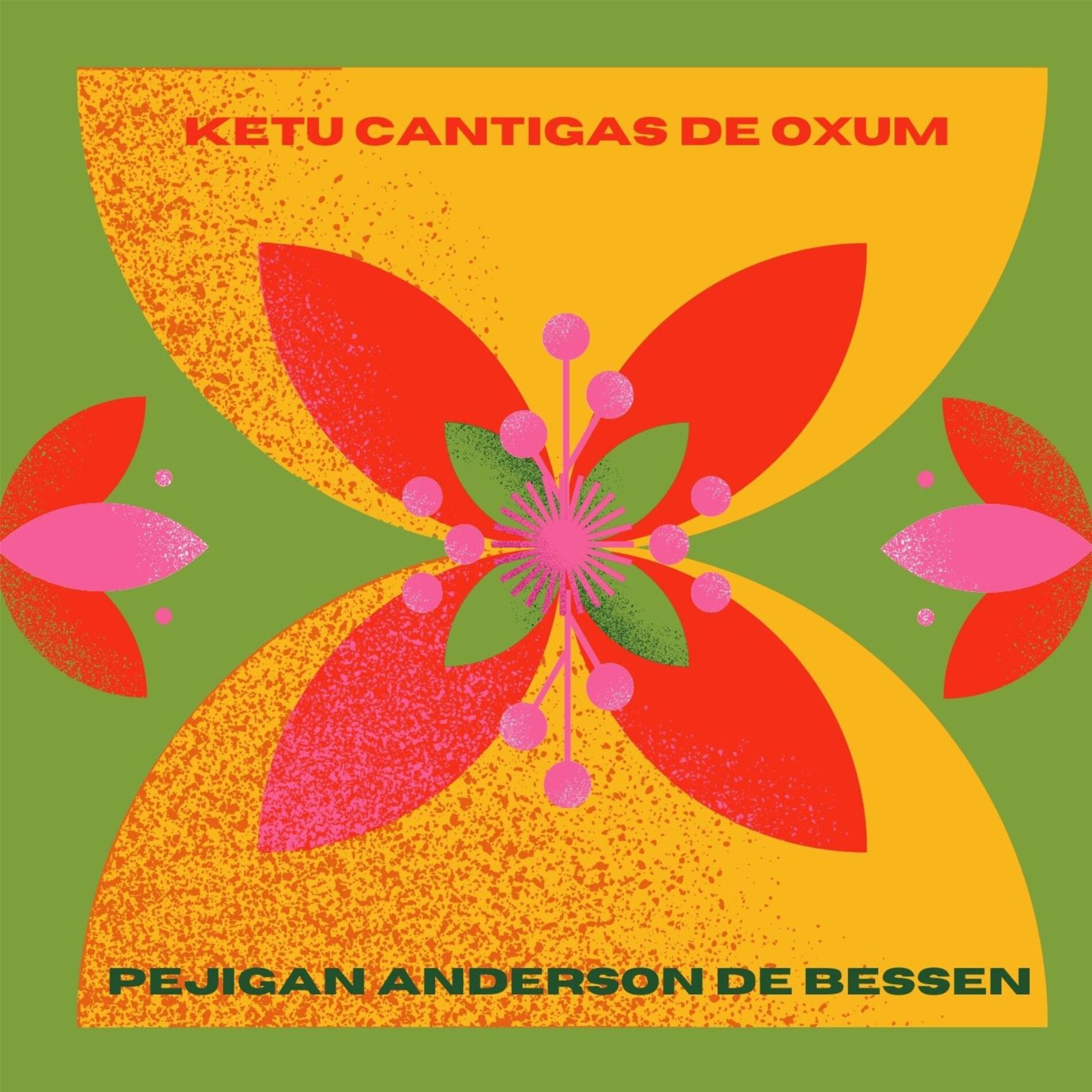 Album cover of Ketu Cantigas para Oxum Pejigan Anderson de Bessen