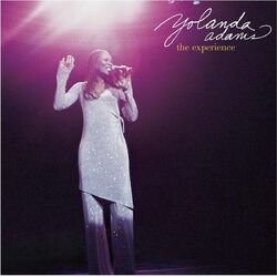 Cover of The Experience