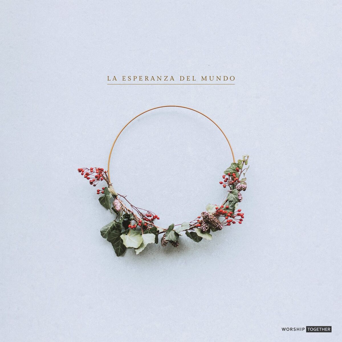 Album cover of La Esperanza Del Mundo