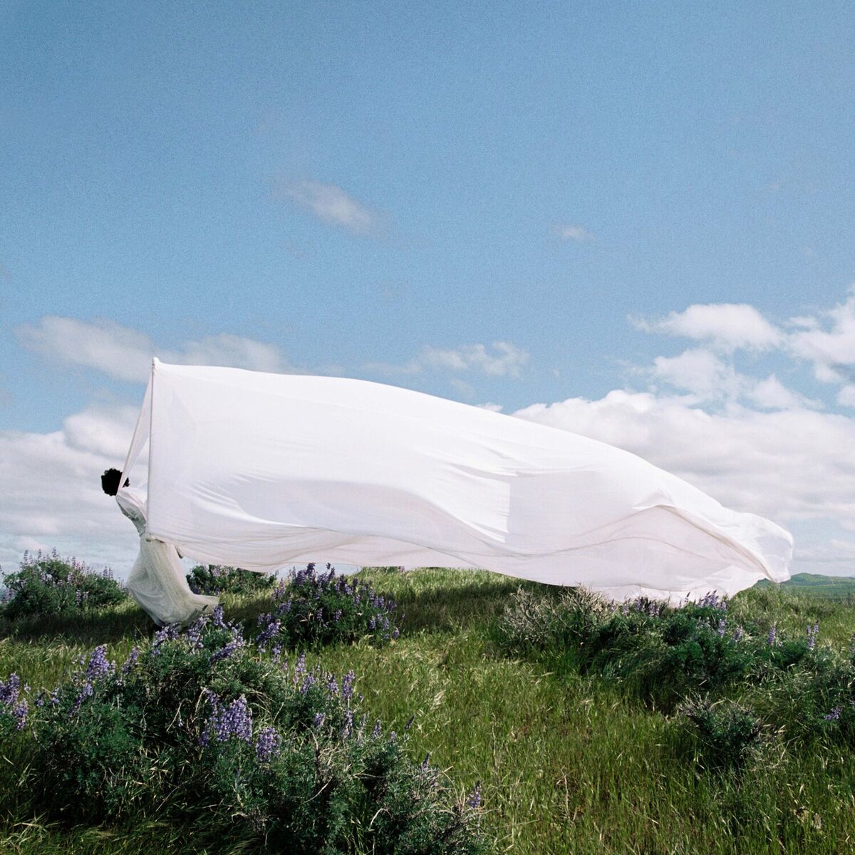 Album cover of Somewhere On A Hillside