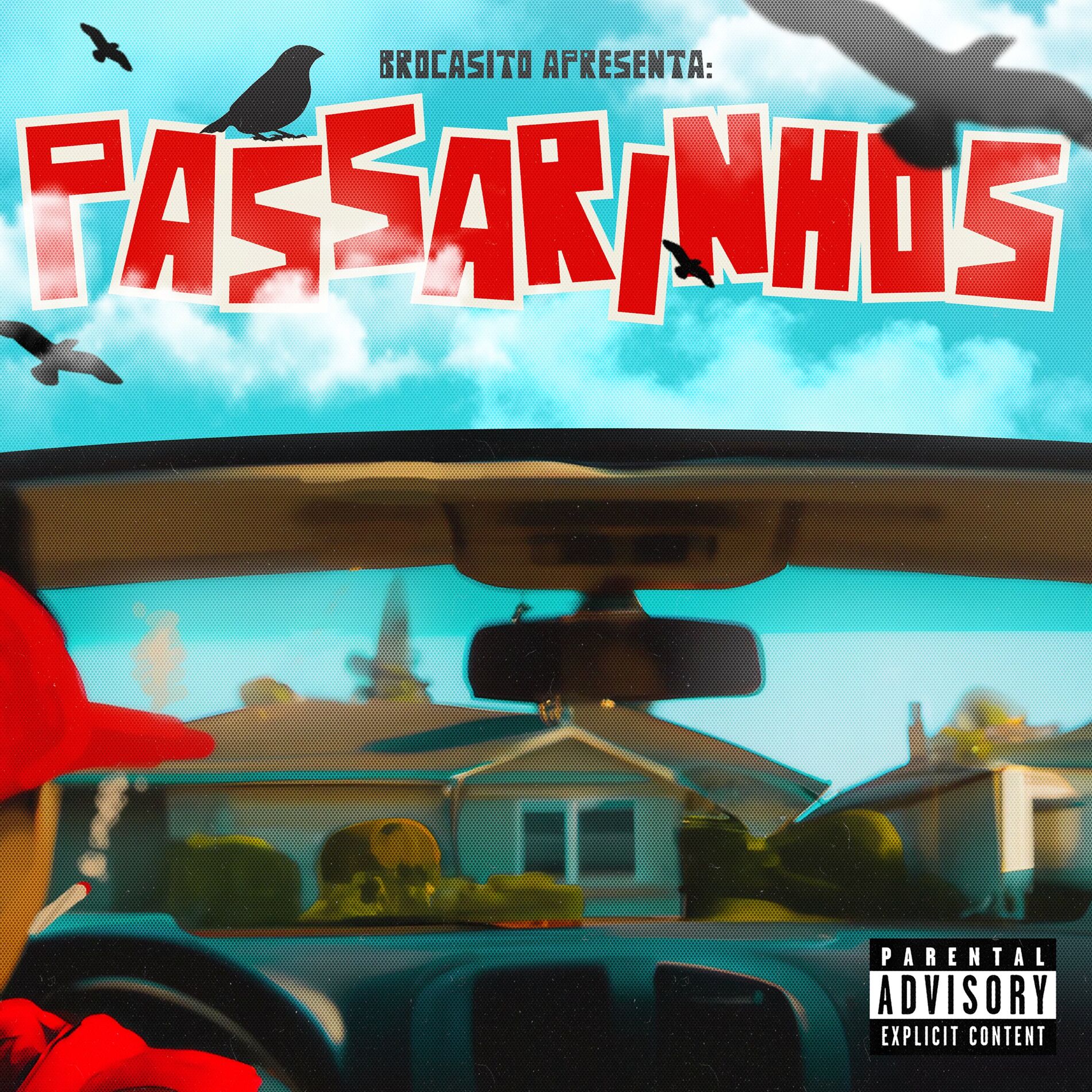 Album cover of Passarinhos