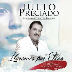 Cover of Lloremos por Ellas