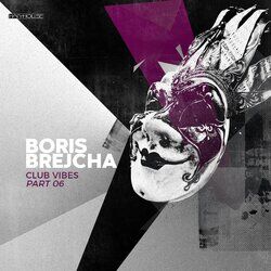 Cover of Club Vibes Part 06