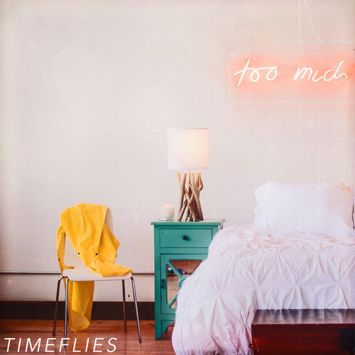 Descargar Raincoat - Timeflies MP3