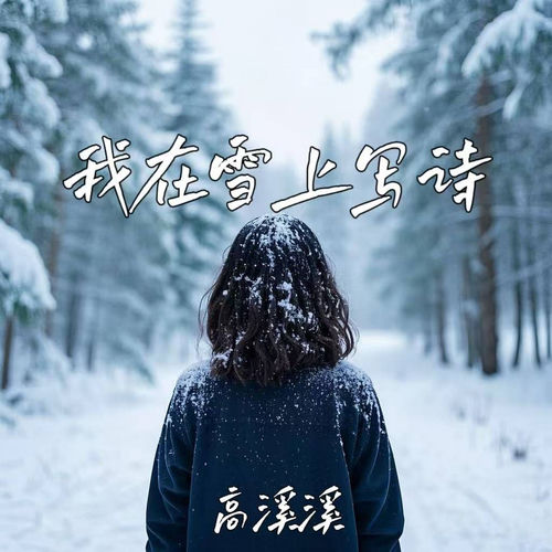 我在雪上写诗