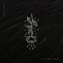 Cover of Dark Skies