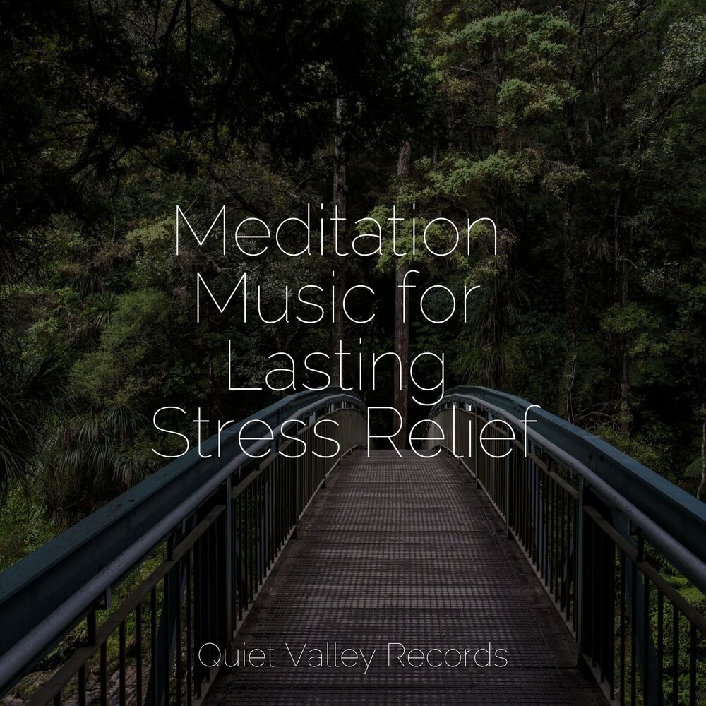 Picture of Meditation Music for Lasting Stress Relief